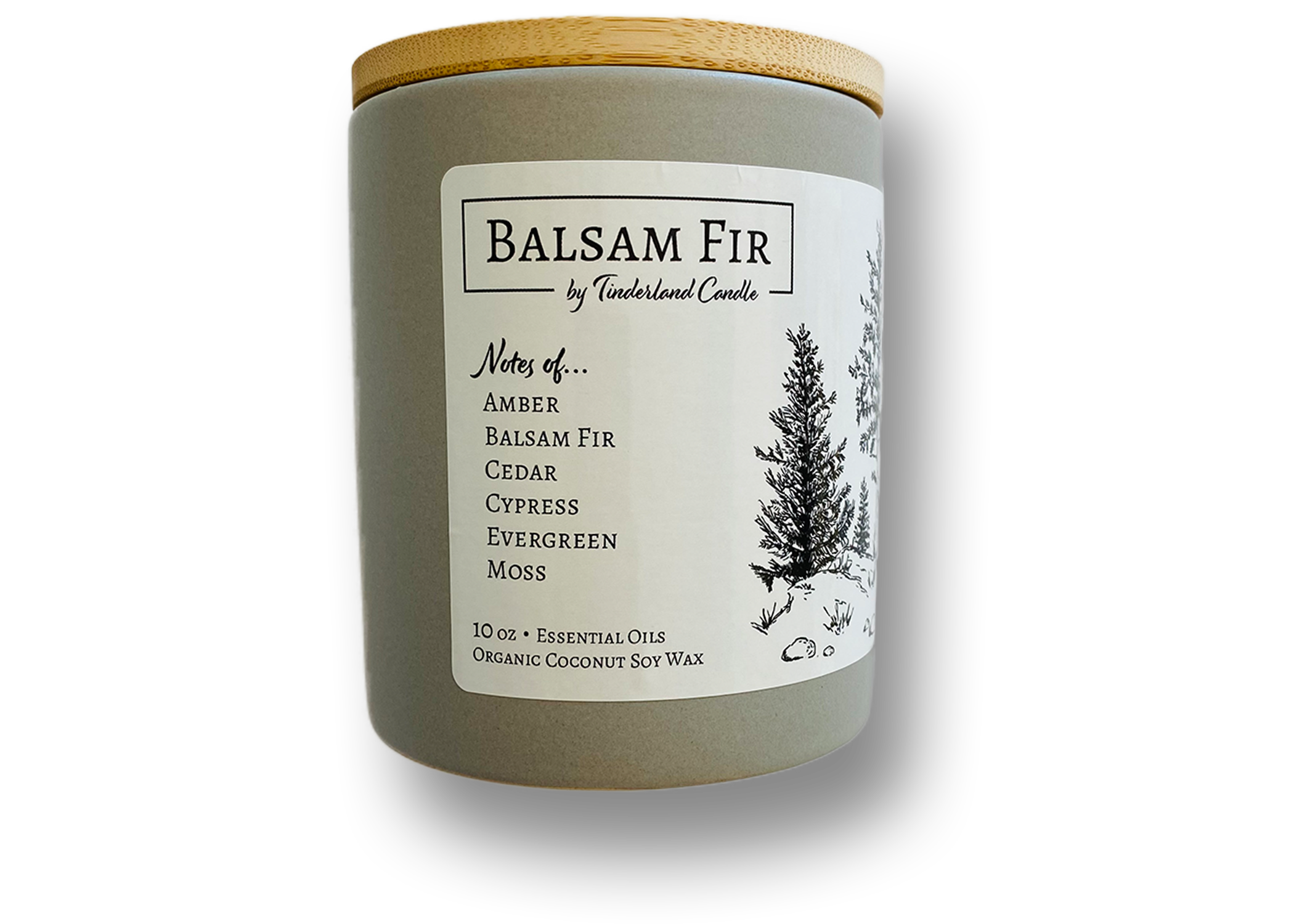 Save Your Balsam Fir! Expert Watering Tips & Tricks - e3a9s80