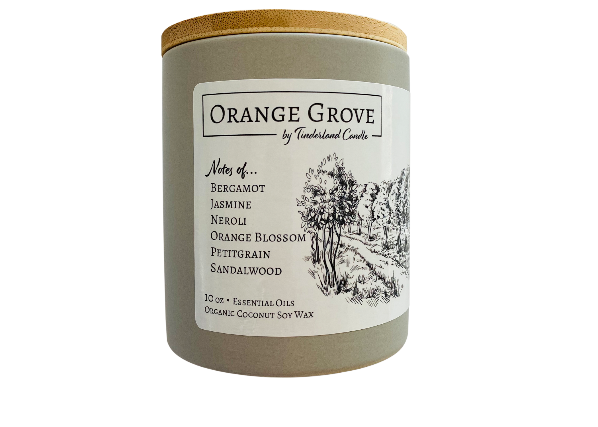Orange Grove | Little Notes Orange Grove | Little Notes